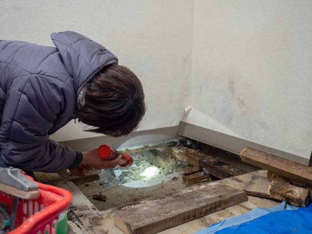 Best Air Quality Testing for Mold Spores  in Beckett, NJ