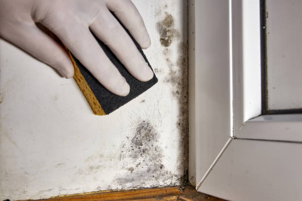 Best HVAC Mold Inspection and Cleaning  in Beckett, NJ