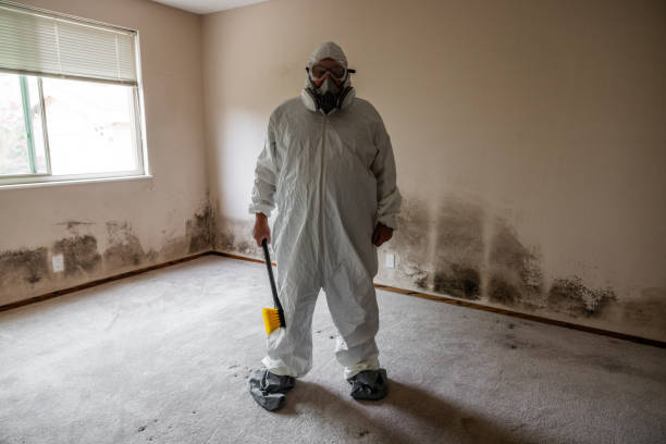Asbestos and Lead Testing During Mold Inspection in Beckett, NJ